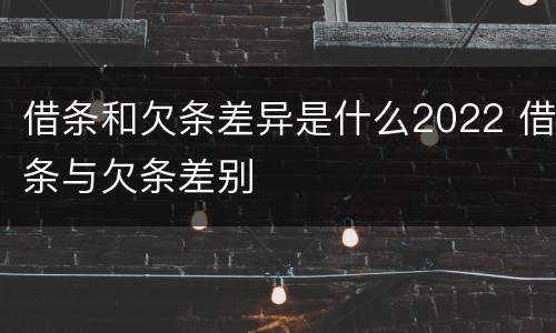 借条和欠条差异是什么2022 借条与欠条差别