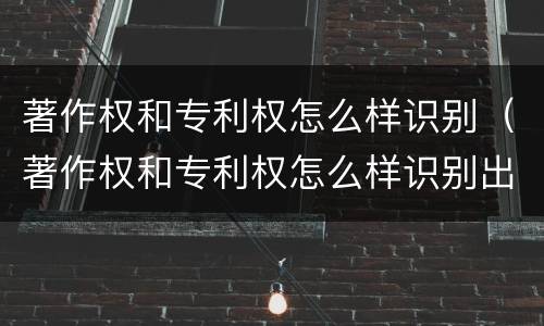 著作权和专利权怎么样识别（著作权和专利权怎么样识别出来）