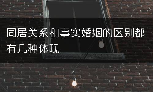 同居关系和事实婚姻的区别都有几种体现