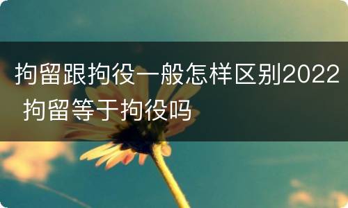 拘留跟拘役一般怎样区别2022 拘留等于拘役吗