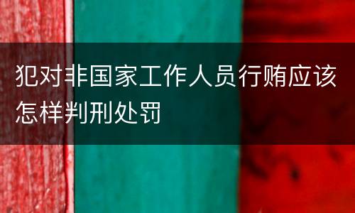 犯对非国家工作人员行贿应该怎样判刑处罚