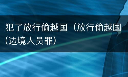 犯了放行偷越国（放行偷越国(边境人员罪）