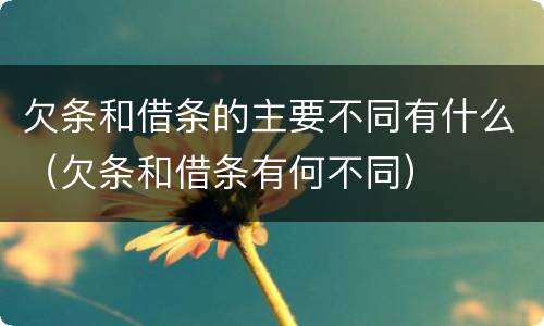 欠条和借条的主要不同有什么（欠条和借条有何不同）