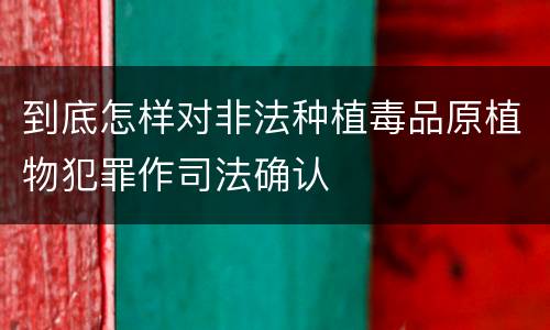 到底怎样对非法种植毒品原植物犯罪作司法确认