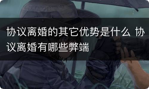 协议离婚的其它优势是什么 协议离婚有哪些弊端