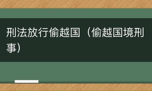 刑法放行偷越国（偷越国境刑事）