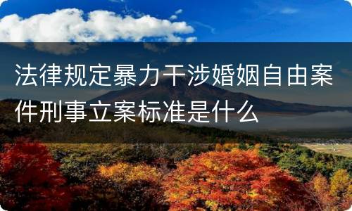 法律规定暴力干涉婚姻自由案件刑事立案标准是什么