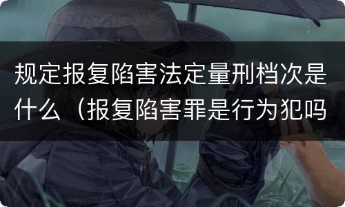 规定报复陷害法定量刑档次是什么（报复陷害罪是行为犯吗）