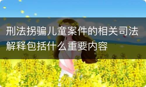 刑法拐骗儿童案件的相关司法解释包括什么重要内容