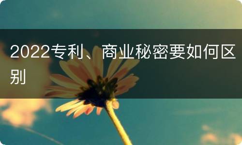 2022专利、商业秘密要如何区别