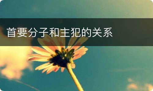 首要分子和主犯的关系
