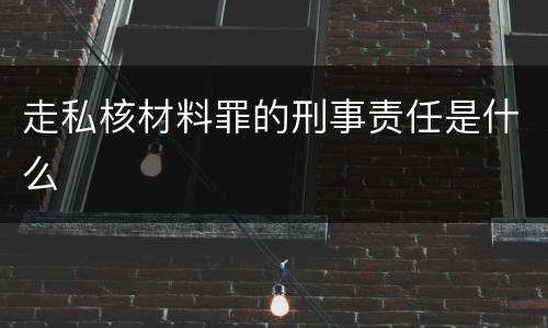 走私核材料罪的刑事责任是什么