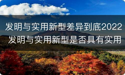 发明与实用新型差异到底2022 发明与实用新型是否具有实用性