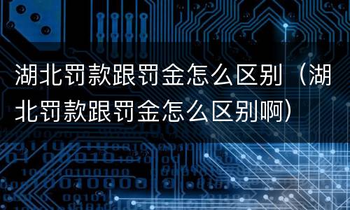 湖北罚款跟罚金怎么区别（湖北罚款跟罚金怎么区别啊）