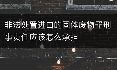 非法处置进口的固体废物罪刑事责任应该怎么承担