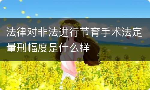 法律对非法进行节育手术法定量刑幅度是什么样