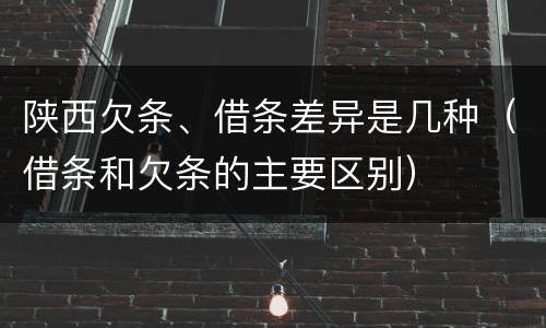 陕西欠条、借条差异是几种（借条和欠条的主要区别）