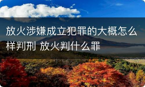 放火涉嫌成立犯罪的大概怎么样判刑 放火判什么罪