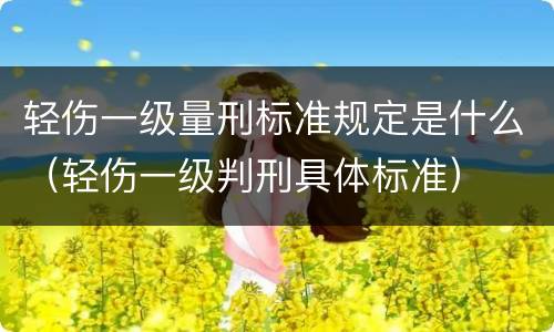 轻伤一级量刑标准规定是什么（轻伤一级判刑具体标准）