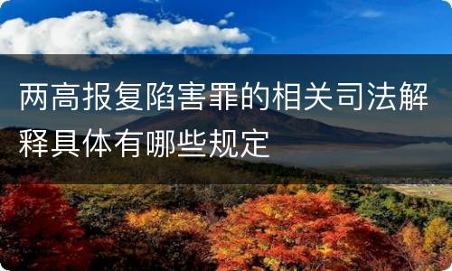 两高报复陷害罪的相关司法解释具体有哪些规定