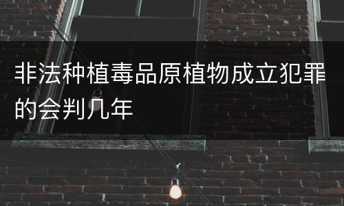 非法种植毒品原植物成立犯罪的会判几年