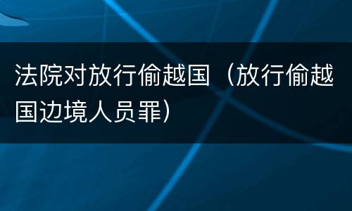 法院对放行偷越国（放行偷越国边境人员罪）