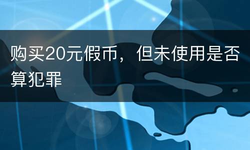 购买20元假币，但未使用是否算犯罪