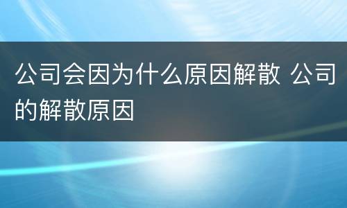 公司会因为什么原因解散 公司的解散原因