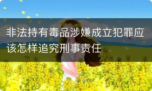 非法持有毒品涉嫌成立犯罪应该怎样追究刑事责任