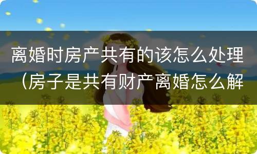 离婚时房产共有的该怎么处理（房子是共有财产离婚怎么解决比较好）