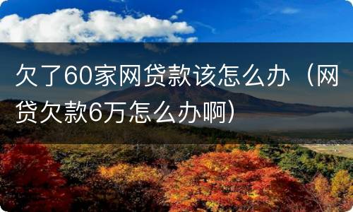 欠了60家网贷款该怎么办（网贷欠款6万怎么办啊）