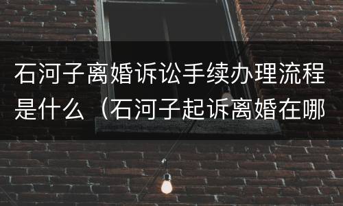 石河子离婚诉讼手续办理流程是什么（石河子起诉离婚在哪里办?）