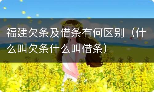 福建欠条及借条有何区别（什么叫欠条什么叫借条）