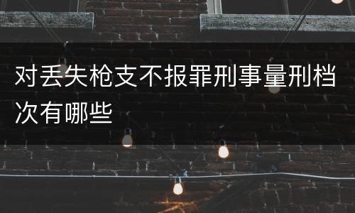 对丢失枪支不报罪刑事量刑档次有哪些