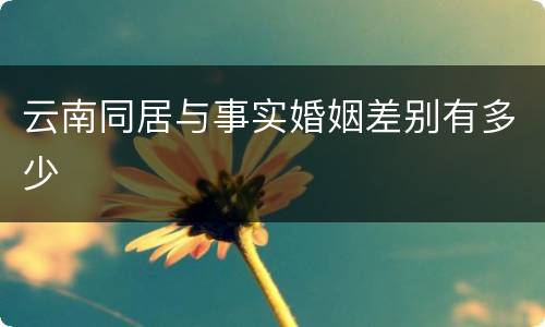 云南同居与事实婚姻差别有多少