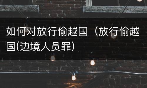 如何对放行偷越国（放行偷越国(边境人员罪）