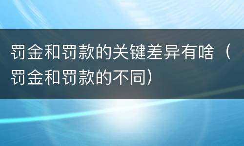罚金和罚款的关键差异有啥（罚金和罚款的不同）
