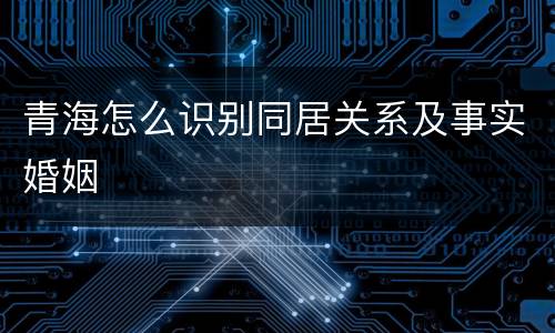 青海怎么识别同居关系及事实婚姻