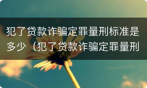 犯了贷款诈骗定罪量刑标准是多少（犯了贷款诈骗定罪量刑标准是多少呢）