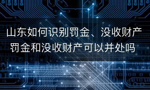山东如何识别罚金、没收财产 罚金和没收财产可以并处吗