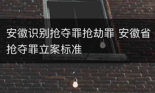 安徽识别抢夺罪抢劫罪 安徽省抢夺罪立案标准