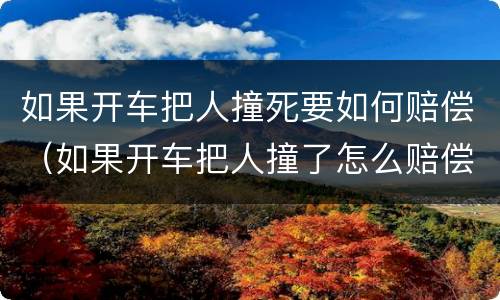 如果开车把人撞死要如何赔偿（如果开车把人撞了怎么赔偿）