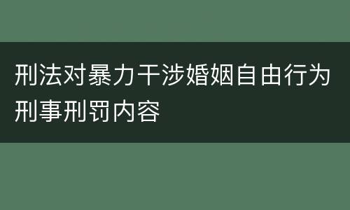 刑法对暴力干涉婚姻自由行为刑事刑罚内容