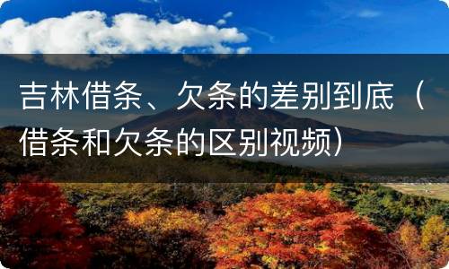 吉林借条、欠条的差别到底（借条和欠条的区别视频）