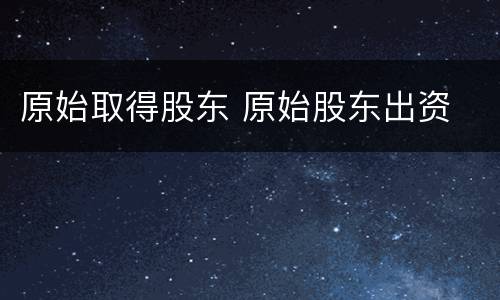 原始取得股东 原始股东出资