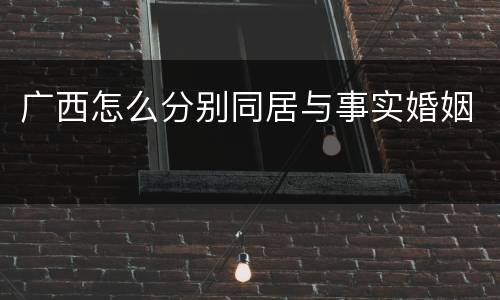 广西怎么分别同居与事实婚姻