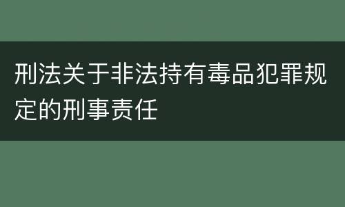 刑法关于非法持有毒品犯罪规定的刑事责任