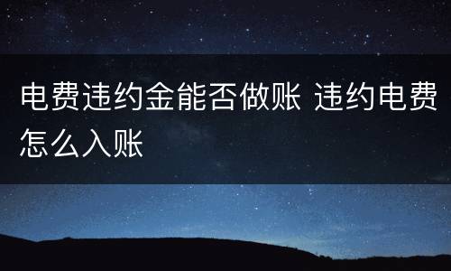 电费违约金能否做账 违约电费怎么入账