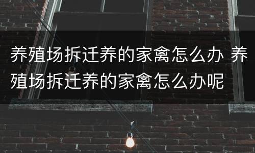 养殖场拆迁养的家禽怎么办 养殖场拆迁养的家禽怎么办呢