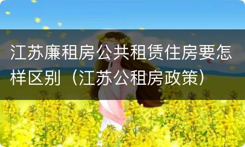 江苏廉租房公共租赁住房要怎样区别（江苏公租房政策）